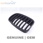 2008-2012 Bmw X6 Left Hood / Kidney Grille 7171395. Fixed Price $59.99.