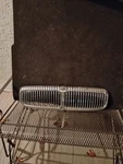 Grille Insert For 99 Jaguar Venders Plas.. Fixed Price $100.00.