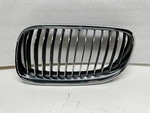 P40299 2007-2013 Bmw Series Front Grille Coupe Conv Driver Side 51137254971 Oe. Fixed Price $32.49.