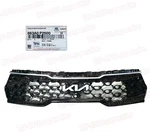 Genuine Radiator Grille For Camera 2022-2024 Kia Sorento 863A0P2500. Fixed Price $310.96.