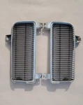 1970 Pontiac Catalina Grille Inserts Driver And Passenger Oem 9799736 9799735. Fixed Price $75.00.