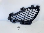 2022 2023 Hyundai Genesis G70 Front Bumper Outer Side Grill Rh Oem 86562-G9510. Fixed Price $150.00.