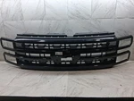 2023-2025 Ford F-250 F-350 Super Duty Grille Assembly Oem Front Center. Fixed Price $620.00.