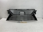 2016 2017 2018 2019 Lexus RX350 RX450 Front Grille Oem 53111 0E170. Fixed Price $189.00.