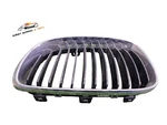 2010 Bmw Series E88 Front Left Passenger Side Bumper Grille Genuine 7179655. Fixed Price $33.56.