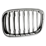 Grille For Bmw X3 2018-2021 Driver Side 51137478669. Fixed Price $94.74.