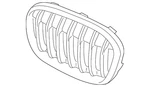 Genuine Bmw Upper Grille 51-11-7-383-366. Fixed Price $172.85.