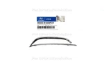Bumper Grille Trim Chrome Moldings Front 86563B1000PCR For Genesis 15-16. Fixed Price $113.53.