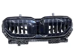 2025 Bmw Series Front Grill With Air Shutter Oem 187 156 10. Fixed Price $599.00.