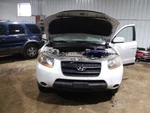 Grille Without Chrome Surround Fits 07-09 Santa Fe 2149991. Fixed Price $125.00.