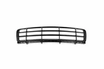 Genuine Oem Front Lower Grille For Bmw Z3 Roadster Coupe 97-02 51118399335. Fixed Price $126.31.