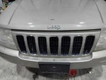 Grille Painted Fits 01-03 Grand Cherokee 3102941. Fixed Price $159.98.