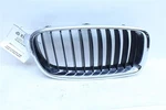 Grille 320I 328D 328I 330E 330I 335I 340I Active 12-19 Right 1115676. Fixed Price $64.99.