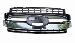 2017 2019 Ford Super Duty F250 Chrome Grille Oem HC3B-8A133-DKSMAS. Fixed Price $399.99.