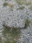 1991-1996 Buick Roadmaster Sedan Front Grille Center Support Bracket. Fixed Price $100.00.