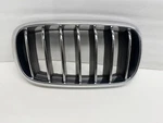 P503116 2014-2018 Bmw X5 X6 Bumper Grille Passenger Side 7316054 See Pictures. Fixed Price $38.99.