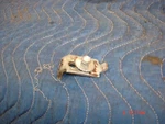 1964 Pontiac Grand Prix Catalina Lh Driver Side Front Window Down Stop Gm Oem. Fixed Price $10.00.