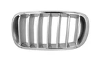 Bmw X5 F15 2013 - 2018 Front Bumper Upper Grill Left N/s Passenger 7303107. Fixed Price $66.98.