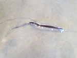 Genuine Honda Left Chrome Grille Moulding Fits 2017-2020 Cr-v. Fixed Price $60.25.
