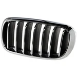 Grille Driver Left Side Hand For Bmw X5 2014-2018. Fixed Price $48.52.