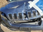 2019 Jeep Cherokee Grille Upper Bumper Cover Used Oem Blue 3815241. Fixed Price $137.09.