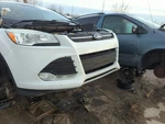 2013-2016 Ford Escape Front Grille Bumper Not Included EDWD6. Fixed Price $97.32.