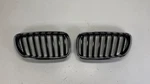 Bmw F22 F23 228I 235I Series Front Kidney Grille Set Left And Right Used Oem. Fixed Price $45.00.