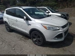 2014 Ford Escape Right Passenger Grille Lower Base Used 104-02424AR. Fixed Price $113.95.