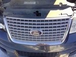 2006 Ford Expedition Grille Upper Xls Blue Used Genuine Oem 3365221. Fixed Price $113.95.