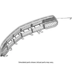 Carbon Flash Metallic Front Lower Grille With View Drive Cameras Baffles. Fixed Price $669.25.