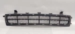 '10-'13 Buick Lacrosse Lower Center Grille Oem. Fixed Price $89.10.