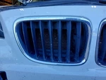 Passenger Grille Bumper Mounted X-line Upper Fits 13-15 Bmw X1 525909. Fixed Price $93.90.