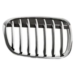 Grille For Bmw X1 2016-2019 Passenger Side 51117383366. Fixed Price $65.22.