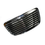 Genuine Mopar Radiator Grille 68127942AE. Fixed Price $466.40.