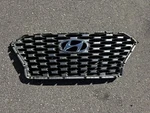 2020 2021 2022 Hyundai Palisade Front Center Grille Oem. Fixed Price $95.00.