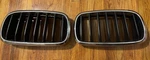 2014-2016 Bmw X5 Original Grille Left Driver,front Right Passenger Side 7316075. Fixed Price $35.00.