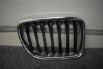 2010-2012 Bmw X1 Front Right Side Grille Factory Oem. Fixed Price $58.44.