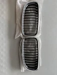 09-11 Bmw E90 328I 335I Sedan Kidney Grille Right & Left Pair Oem. Fixed Price $50.00.