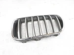 2011-2014 Bmw X3 Front Driver Center Grille 51-11-7-237-421 *chrome *chip. Fixed Price $74.81.