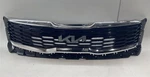 2020 2021 Kia Telluride Grille Assembly Oem Front Center 86350-S9320. Fixed Price $290.00.