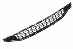 Genuine Gm Anthracite Front Lower Grille 13415833. Fixed Price $275.31.