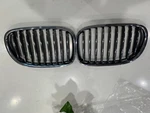 Grilles Sport Oem Bmw 51138057089 Left And 51137295298 Right.. Fixed Price $49.99.