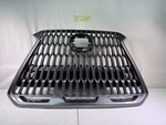 2022-2025 Lexus Nx F-sport Oem Upper Grille 53111-F6030 53111-F6010. Fixed Price $341.59.