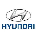 Genuine Hyundai Grille Assembly 863A0-L1AJ0. Fixed Price $661.29.