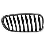 Right Passenger Side Grille Fits Bmw Z4 2003-2008 51137051958 BM1200217. Fixed Price $55.77.