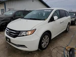 Grille Lower Bumper Mounted Ends Without Fog Lamps Fits 14-17 Odyssey 553661. Fixed Price $99.90.