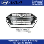 Genuine 86350F2500 Radiator Grille & Molding For Hyundai Elantra 1.6L 2017-2018. Fixed Price $551.00.