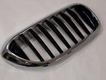 Oem Grille For 530E Assy Chrome Blk Pitted Rock Chips Right. Fixed Price $99.99.