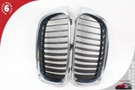 2012-2018 Bmw 320I F30 Front Left And Right Side Radiator Hood Grille Set Oem. Fixed Price $50.00.