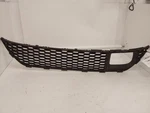 2015-2018 Nissan Murano Lower Grille Fits W/adaptive Cruise Control. Fixed Price $95.00.